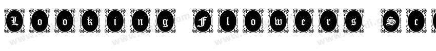 Looking Flowers Scri字体转换